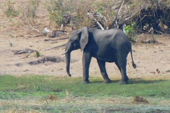 One Day Akagera Safari From Kigali - Who should book this Akagera day trip