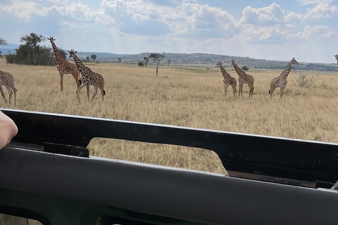 One Day Akagera Wildlife Safari - Why Akagera makes a good Kigali day trip