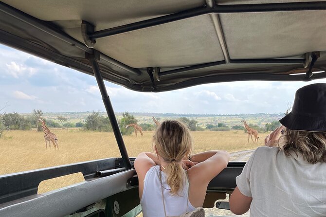 One Day Akagera Wildlife Safari - Should you book the One Day Akagera Wildlife Safari?
