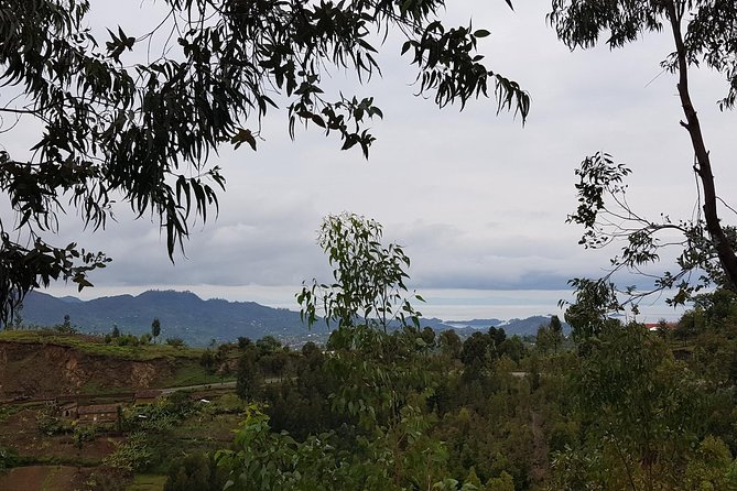One-day Kivu Lake Adventure - Lunch beside Lake Kivu