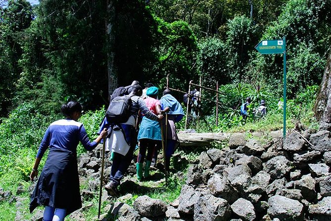 One Day Mt Bisoke Hike Adventure in Volcanoes Park ( 2 Pax Min) - Key points to know before booking