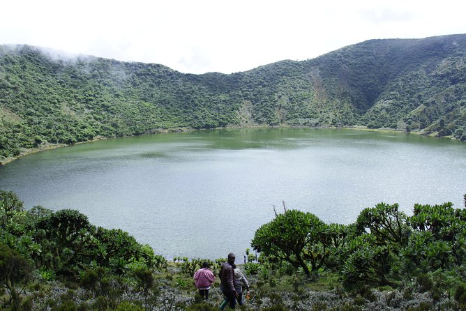 One Day Mt Bisoke Hike Adventure in Volcanoes Park ( 2 Pax Min) - What the $380 price includes