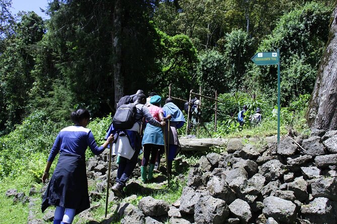 One Day Mt Bisoke Hike Adventure in Volcanoes Park ( 2 Pax Min) - Lunch, park access, and the little details that matter