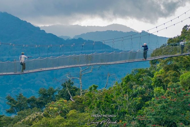 One Day Nyungwe National Park Tour& Canopy walk (2 Pax Min) - Key points to know before booking