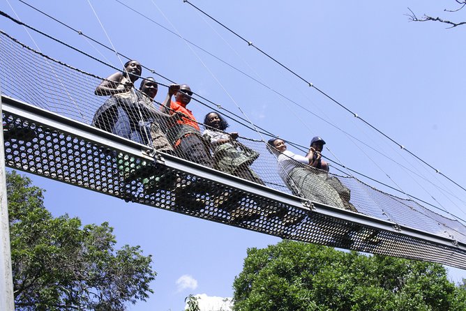 One Day Nyungwe National Park Tour& Canopy walk (2 Pax Min) - What the Five Hours in the Park Really Means