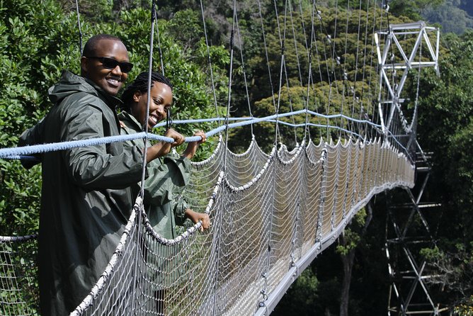 One Day Nyungwe National Park Tour& Canopy walk (2 Pax Min) - Is $400 Per Person Fair Value?