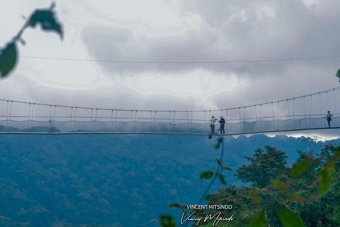 One Day Nyungwe National Park Tour& Canopy walk (2 Pax Min) - Who Will Enjoy This Tour Most?
