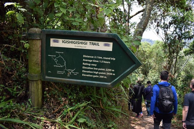 One Day Nyungwe National Park Tour& Canopy walk (2 Pax Min) - Entering Nyungwe’s Montane Rainforest