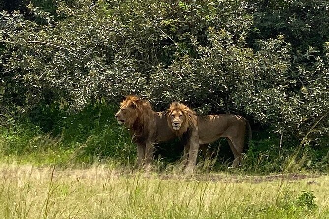 One Day Private Tour to Akagera National Park from Kigali - Key points to know before you book