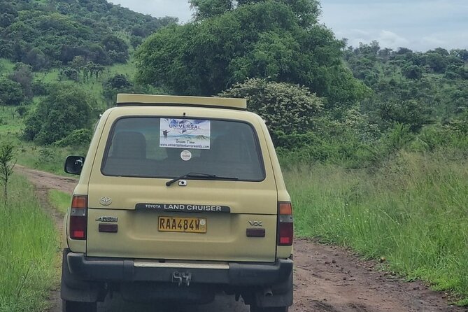 Private 1 Day Akagera Big Five Safari with pick up and lunch. - Why a private 4x4 can improve the day