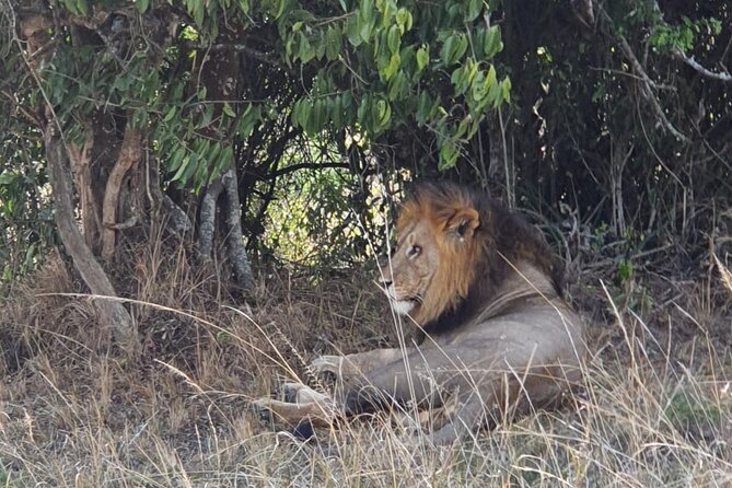 Private Full-Day Tour Akagera Game Drive - Animals you may see along the route