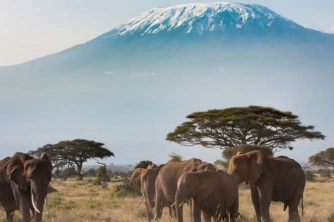 Private Transfer from Kigali Airport (KGL) to Kigali - Meeting your driver at Kigali International Airport