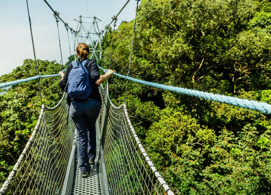 Rwanda: 3-Day Chimpanzee Trekking, Canopy, and Lake Kivu … - Five things to know before you book