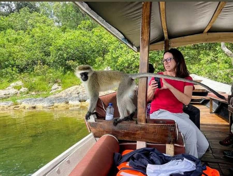 Rwanda: 3-Day Chimpanzee Trekking, Canopy, and Lake Kivu … - The canopy walk: worth adding to a chimpanzee trip