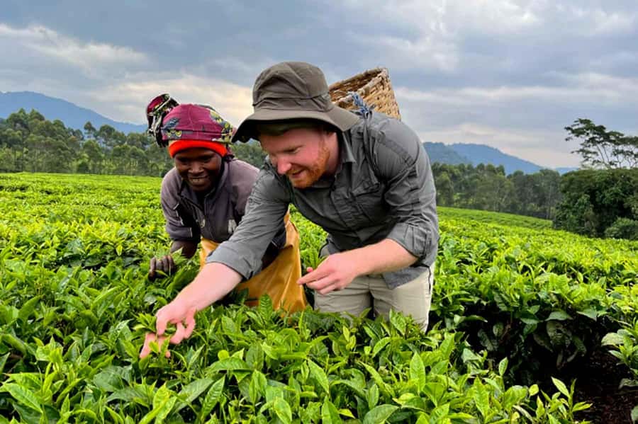 Rwanda: 3-Day Chimpanzee Trekking, Canopy, and Lake Kivu … - Day three: island stops and Lake Kivu by boat
