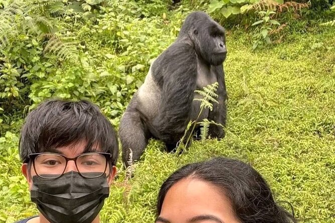 Rwanda One Day Gorilla Trekking with Iby’iwacu Culture Visit - Key points to know before booking