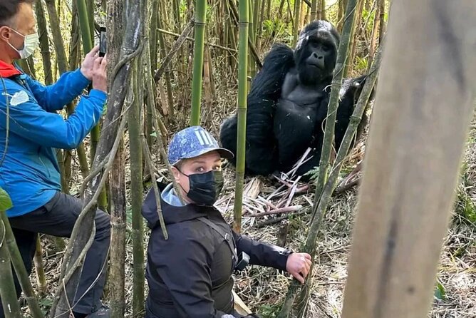 Rwanda One Day Gorilla Trekking with Iby’iwacu Culture Visit - What the $359 price really buys you