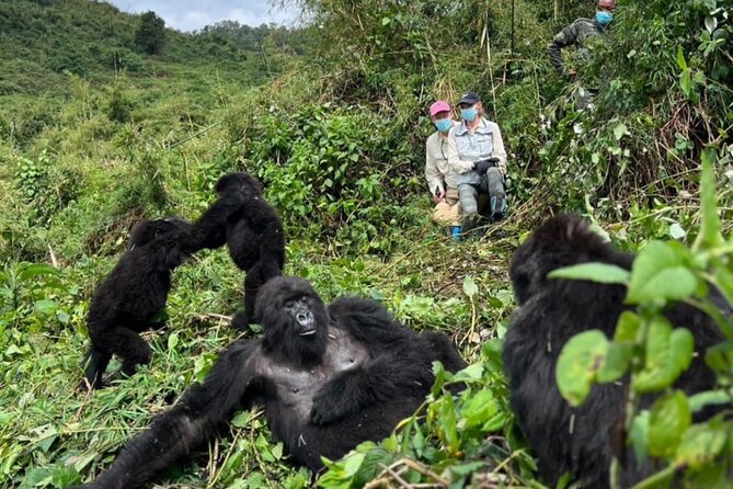 Rwanda One Day Gorilla Trekking with Iby’iwacu Culture Visit - Fitness, pace, and practical concerns