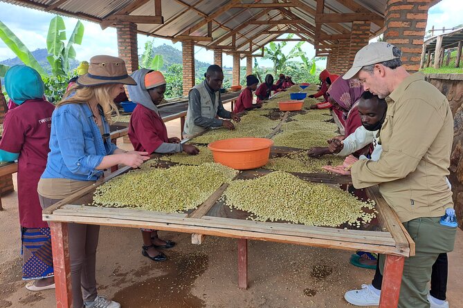 Tea and coffee tours - An 8:00 am start in Rubavu