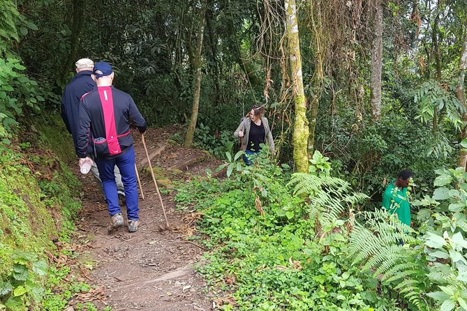 Three-day Nyungwe Canopy and Kivu Lake Adventure - Starting in Kigali at 6:00 am