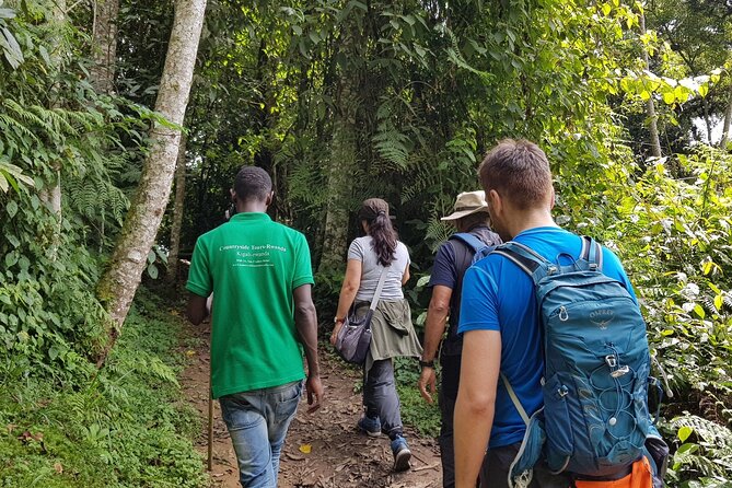 Three-day Nyungwe Canopy and Kivu Lake Adventure - Walking above Nyungwe Forest