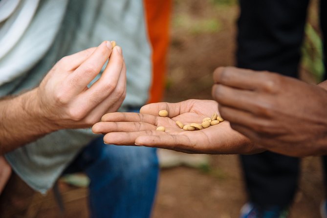 Women-led Coffee Farm Trek - Why this coffee day is different from a café tasting